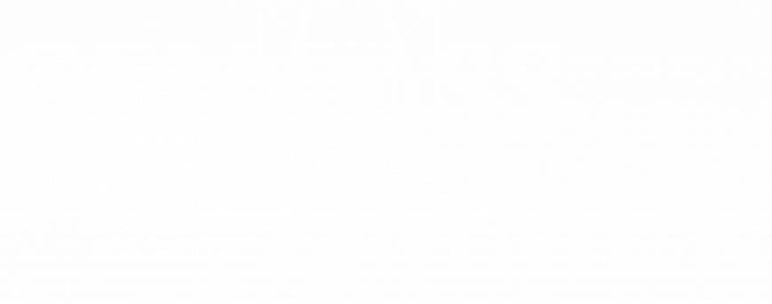 GZ_Logo_neu_WEISS_2